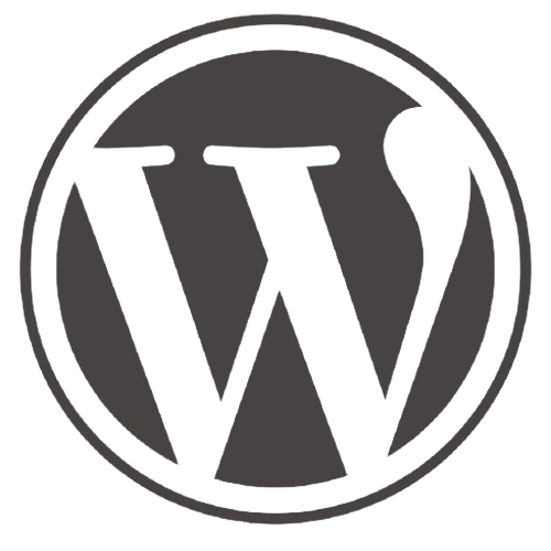 What Is WordPress